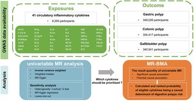 Causal links between circulatory inflammatory cytokines and risk of digestive polyps: a Mendelian randomization analysis